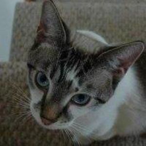 Meet your Posher, Jeanette